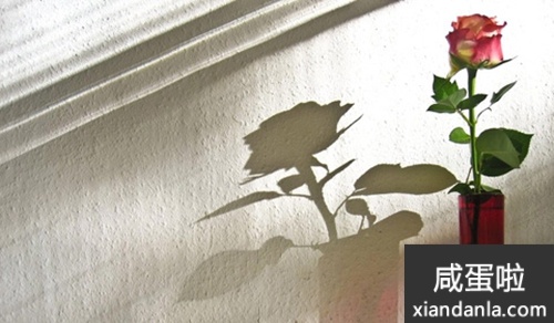 18岁以上改名字需要什么手续,大概要多少天