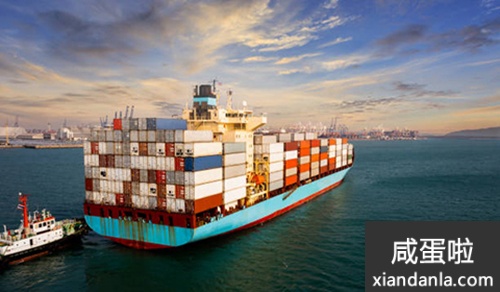 2025年开标后多久宣布中标